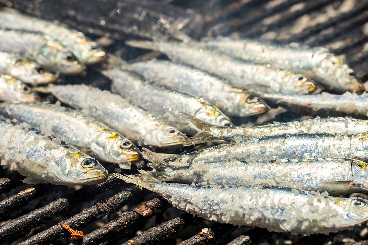 Grillade de sardines en Vendée